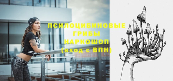 соль ск Аркадак