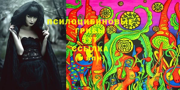 герыч Арсеньев