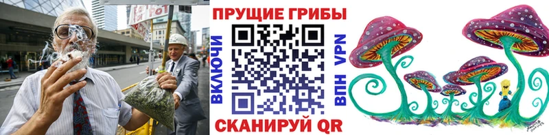 маркетплейс Telegram  Урус-Мартан  Псилоцибиновые грибы Magic Shrooms  где продают наркотики 